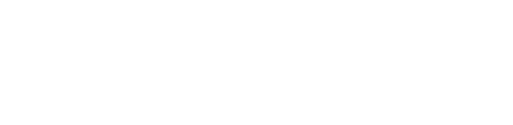 2 Key Idea