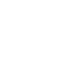 Aras Kargo